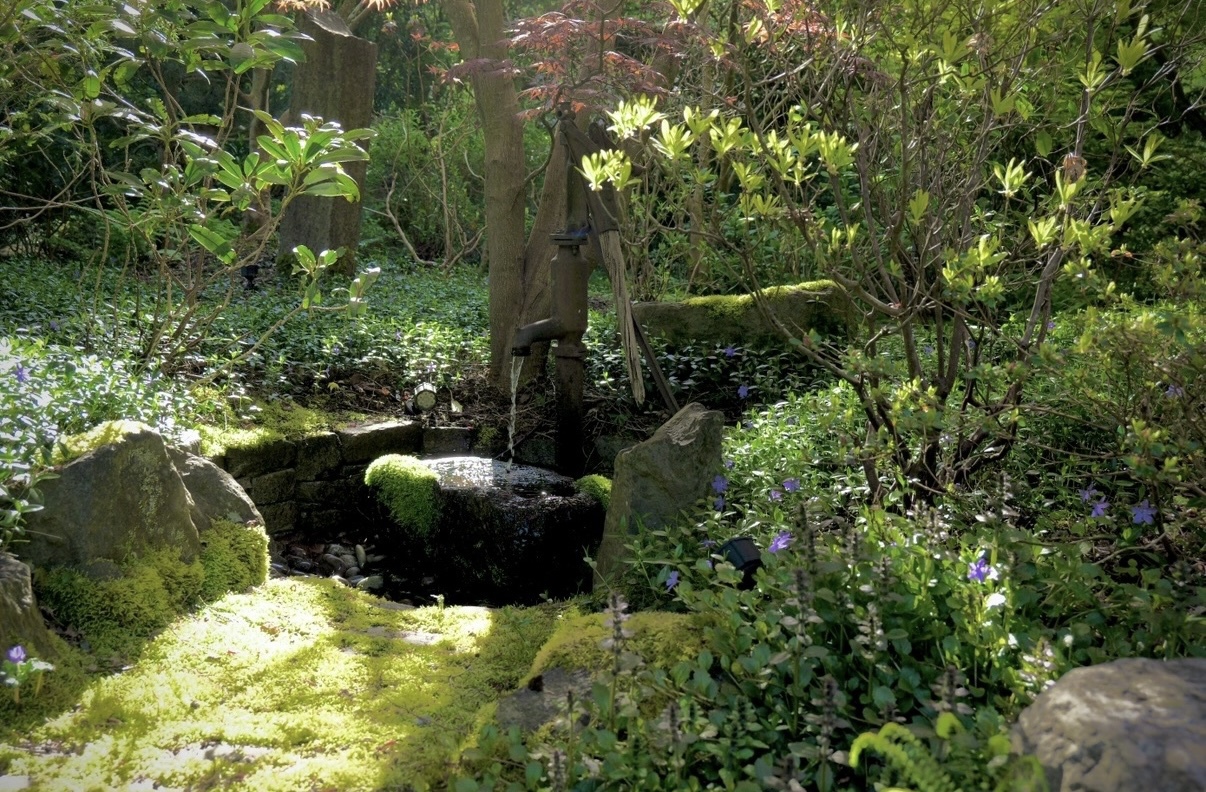 Thyme on 43rd Japanese Garden In Langrey