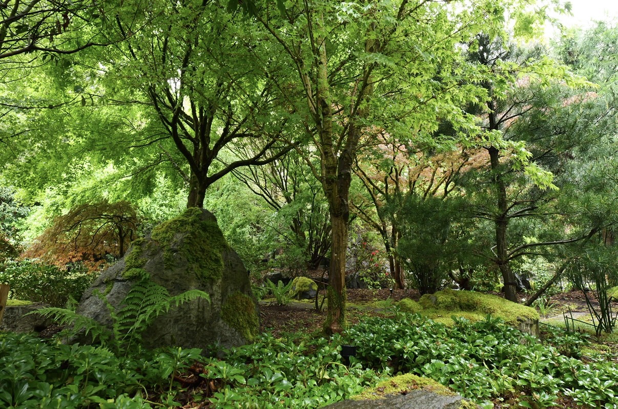 Thyme on 43rd Japanese Garden In Langrey